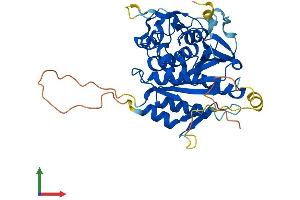 Protein Structure (PS) image for Autophagy related 4B Cysteine Peptidase (ATG4B) (AA 1-393) protein (His tag) (ABIN7558547)