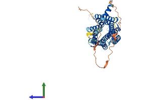 Protein Structure (PS) image for Galanin Receptor 2 (GALR2) (AA 1-387) protein (His tag) (ABIN7547951)