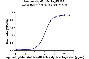 Immobilized Human NKp46, hFc Tag at 0. (NCR1 Protein (AA 22-255) (Fc Tag))