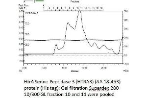 Size-exclusion chromatography-High Pressure Liquid Chromatography (SEC-HPLC) image for HtrA Serine Peptidase 3 (HTRA3) (AA 18-453) protein (His tag) (ABIN3092994)