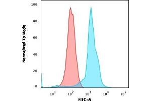 Flow Cytometric Analysis of MOLT-4 cells. (CD6 抗体)