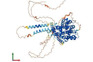 Protein Structure (PS) image for phosphodiesterase 4C, CAMP-Specific (PDE4C) (AA 1-686) protein (His tag) (ABIN7557172)