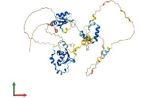 Protein Structure (PS) image for RNA-Binding Region (RNP1, RRM) Containing 3 (RNPC3) (AA 1-517) protein (His tag) (ABIN7551291)