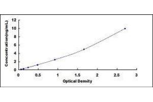 Toll-Like Receptor 9 (TLR9) ELISA Kit