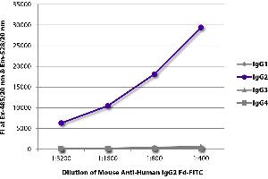 FLISA plate was coated with purified human IgG1, IgG2, IgG3, and IgG4. (小鼠 anti-人 IgG2 (Fd Region) Antibody (FITC))