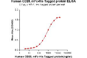 ELISA plate pre-coated by 2 μg/mL (100 μL/well) Human B7-2, hFc tagged protein ABIN6961159, ABIN7042347 and ABIN7042348 can bind Human CD28, mFc-His tagged protein (ABIN6961087, ABIN7042203 and ABIN7042204)  in a linear range of 62.