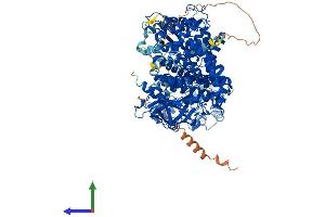 Protein Structure (PS) image for Acyl-CoA Dehydrogenase Family, Member 10 (ACAD10) (AA 1-1059) protein (His tag) (ABIN7551801)