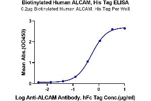 ELISA image for Activated Leukocyte Cell Adhesion Molecule (ALCAM) (AA 28-526) protein (His-Avi Tag,Biotin) (ABIN7273818)