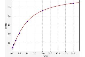 Typical standard curve (ANKRD1 ELISA 试剂盒)