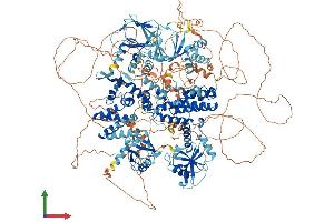 Protein Structure (PS) image for Rap Guanine Nucleotide Exchange Factor (GEF) 6 (RAPGEF6) (AA 1-1601) protein (His tag) (ABIN7555277)
