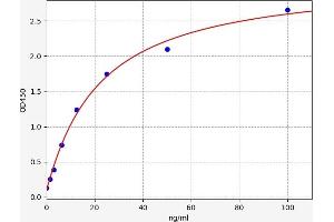 Typical standard curve (Meprin B ELISA 试剂盒)