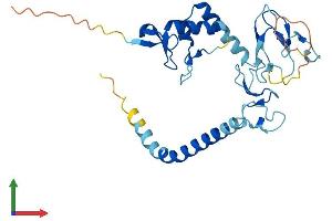 Protein Structure (PS) image for Ring Finger Protein 144A (RNF144A) (AA 1-292) protein (His tag) (ABIN7551201)