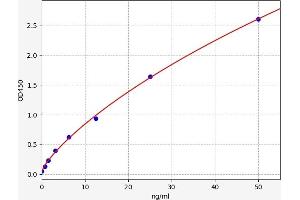 Typical standard curve (AKR1B10 ELISA 试剂盒)