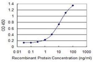 Detection limit for recombinant GST tagged PAGE4 is 0. (PAGE4 抗体  (AA 1-102))