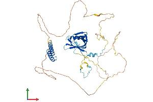 Protein Structure (PS) image for Nucleoporin 50kDa (NUP50) (AA 1-468) protein (His tag) (ABIN7550038)