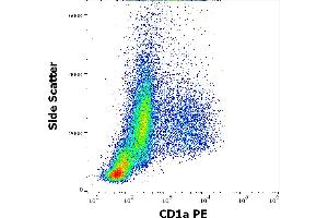 Flow cytometry surface staining pattern of human stimulated (GM-CSF + IL-4) peripheral blood monocytes stained using anti-human CD1a (HI149) PE antibody (20 μL reagent per milion cells in 100 μL of cell suspension). (CD1a 抗体  (PE))