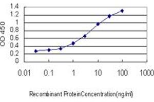 Detection limit for recombinant GST tagged MAPKAPK2 is approximately 0. (MAPKAP Kinase 2 抗体  (AA 302-400))