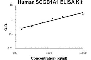 Human SCGB1A1/uteroglobin Accusignal ELISA Kit Human SCGB1A1/uteroglobin AccuSignal ELISA Kit standard curve.