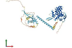 Protein Structure (PS) image for Polymerase (RNA) I Polypeptide E, 53kDa (POLR1E) (AA 1-482) protein (His tag) (ABIN7559485)
