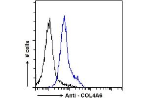 Flow Cytometry (FACS) image for anti-Collagen, Type IV, alpha 6 (COL4a6) (Internal Region) antibody (ABIN570771)