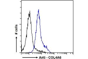 ABIN570771 Flow cytometric analysis of paraformaldehyde fixed HeLa cells (blue line), permeabilized with 0.