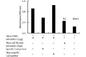 Activity Assay (AcA) image for Sp1 Transcription Factor (SP1) ELISA Kit (ABIN5690763)