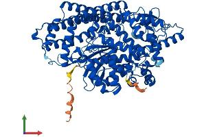 Protein Structure (PS) image for Thimet Oligopeptidase 1 (THOP1) (AA 1-687) protein (His tag) (ABIN7559103)