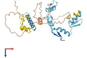 AlphaFold protein structure predicition of Human Recombinant ZNF705B Protein, UniprotID P0CI00 (ZNF705B Protein (AA 1-300) (His tag))