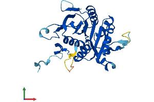Protein Structure (PS) image for Proteasome (Prosome, Macropain) Assembly Chaperone 2 (PSMG2) (AA 1-264) protein (His tag) (ABIN7561483)