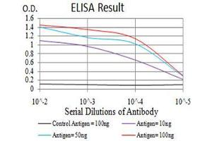 Black line: Control Antigen (100 ng),Purple line: Antigen (10 ng), Blue line: Antigen (50 ng), Red line:Antigen (100 ng) (AKT1 抗体  (AA 1-150))