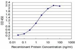 Detection limit for recombinant GST tagged T is approximately 0. (T Brachyury Protein (AA 222-320) 抗体)
