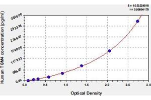 Typical Standard Curve (TGM4 ELISA 试剂盒)