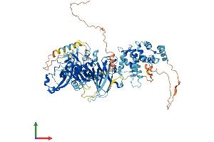 Protein Structure (PS) image for Calpain 3 (CAPN3) (AA 1-821) protein (His tag) (ABIN7552959)