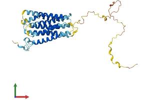 Protein Structure (PS) image for G Protein-Coupled Receptor, Family C, Group 5, Member A (GPRC5A) (AA 1-357) protein (His tag) (ABIN7551265)