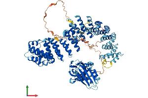 Protein Structure (PS) image for Adaptor-Related Protein Complex 1, beta 1 Subunit (AP1B1) (AA 1-943) protein (His tag) (ABIN7562349)