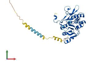 Protein Structure (PS) image for Exostoses (Multiple)-Like 2 (EXTL2) (AA 1-330) protein (His tag) (ABIN7561462)