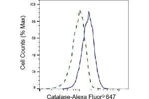 Validation of Catalase knockdown using flow cytometry. (Recombinant Catalase 抗体)