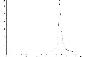 Size-exclusion chromatography-High Pressure Liquid Chromatography (SEC-HPLC) image for neonatal Fc Receptor (FcRn) (AA 24-297) protein (His tag) (ABIN7274676)