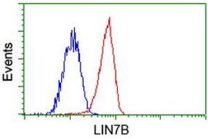 Flow cytometric Analysis of Jurkat cells, using anti-LIN7B antibody (ABIN2453233), (Red), compared to a nonspecific negative control antibody (ABIN2453233), (Blue). (LIN7B 抗体)