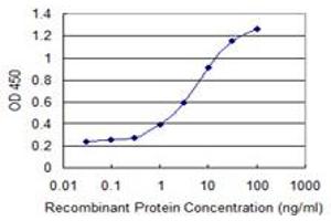Detection limit for recombinant GST tagged FERMT1 is 0. (FERMT1 抗体  (AA 180-269))