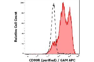 Separation of human lymphocytes (red-filled) from neutrophil granulocytes (black-dashed) in flow cytometry analysis (surface staining) of human peripheral whole blood stained using anti-human CD99R (MEM-131) purified antibody (concentration in sample 0,6 μg/mL, GAM APC). (CD99 抗体)