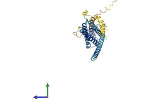 Protein Structure (PS) image for Syntaxin 4 (STX4) (AA 1-297) protein (His tag) (ABIN7544027)