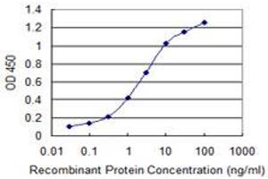 Detection limit for recombinant GST tagged PQBP1 is 0. (PQBP1 抗体  (AA 1-265))