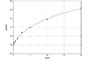 Leukotriene B4 Receptor (LTB4R) ELISA Kit