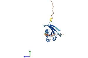 Protein Structure (PS) image for RAB3A, Member RAS Oncogene Family (RAB3A) (AA 1-220) protein (His tag) (ABIN7551207)