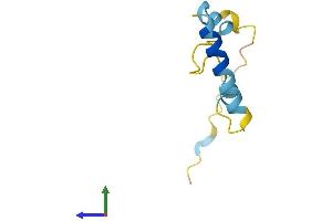 Protein Structure (PS) image for Nuclear Protein, Transcriptional Regulator, 1 (NUPR1) (AA 1-80) protein (Fc Tag) (ABIN7556237)