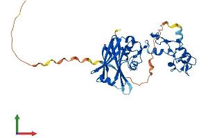 Protein Structure (PS) image for Siah E3 Ubiquitin Protein Ligase 2 (SIAH2) (AA 1-324) protein (His tag) (ABIN7555447)