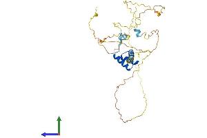 Protein Structure (PS) image for Developing Brain Homeobox 1 (DBX1) (AA 1-343) protein (His tag) (ABIN7547045)