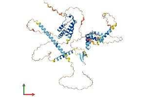 AlphaFold protein structure predicition of Mouse Recombinant Brd9 Protein, UniprotID Q3UQU0 (BRD9 Protein (AA 1-596) (His tag))