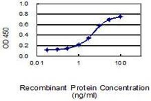 ELISA image for anti-GTPase Activating Protein (SH3 Domain) Binding Protein 1 (G3BP1) (AA 214-303) antibody (ABIN564390)